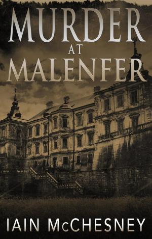 Cover of the book Murder at Malenfer by Mary Lou McCloskey, Lydia Stack, Janet Orr, Gabriela Kleckova