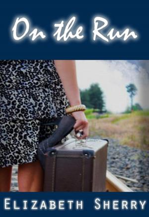 Cover of the book On the Run by Lauren Stewart