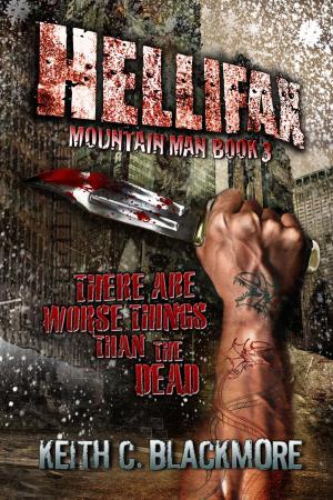 Cover of the book Hellifax by Shawn L. Bird