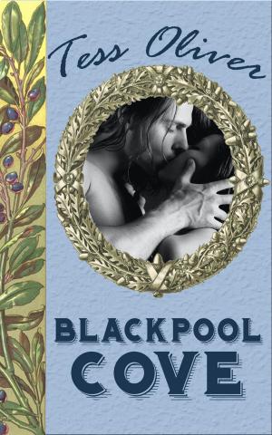 Cover of Blackpool Cove