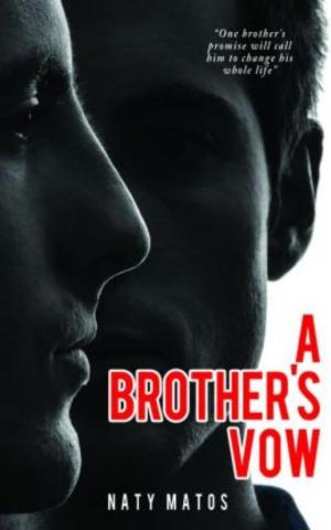 Cover of the book A Brother's Vow by Dan Dilbert