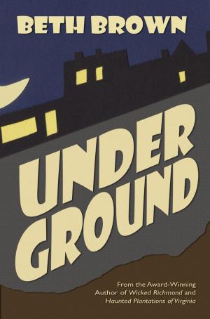 Cover of the book Underground by JC Lamont