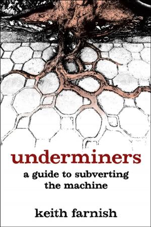 Cover of the book Underminers by Peter Bane