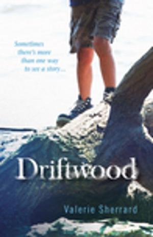 Cover of the book Driftwood by Sylvia McNicoll