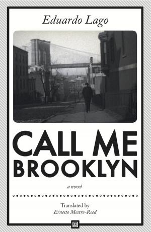 Cover of the book Call Me Brooklyn by Brigitte Lozerec'h