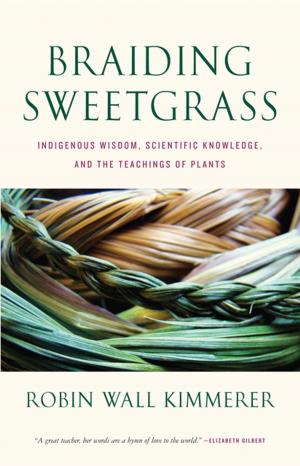 bigCover of the book Braiding Sweetgrass by 