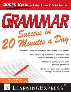 Cover of Grammar Success in 20 Minutes a Day