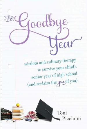 bigCover of the book The Goodbye Year by 
