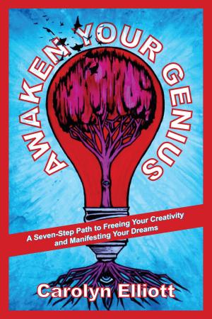 Cover of the book Awaken Your Genius by Stephen Jenkinson