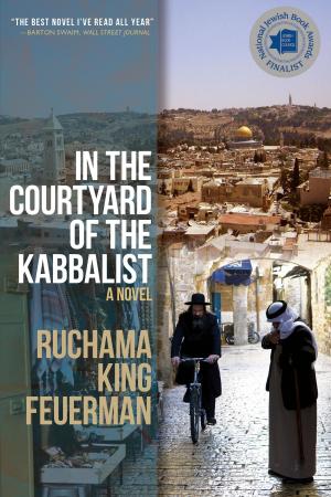 Book cover of In the Courtyard of the Kabbalist