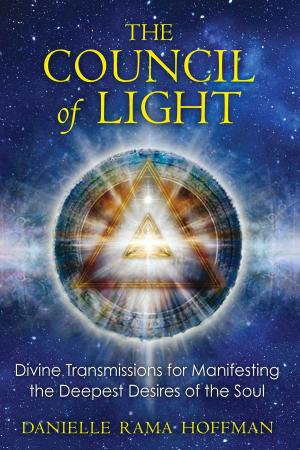 Cover of the book The Council of Light by Anthéor