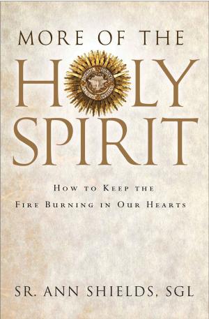 Cover of the book More of the Holy Spirit by Fr. Raniero Cantalamessa, OFM Cap
