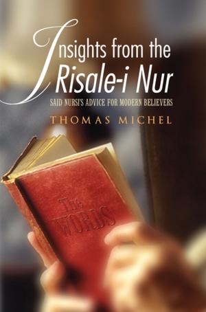 Cover of the book Insights from the Risale-i Nur by Omer A. Ergi