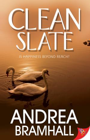 Cover of the book Clean Slate by Andrea Bramhall