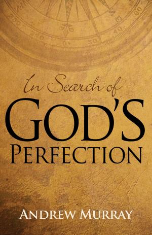 Cover of the book In Search of God's Perfection by R.  A. Torrey