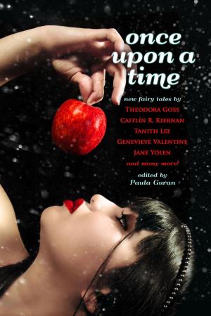 Cover of the book Once Upon a Time: New Fairy Tales by Paula Guran