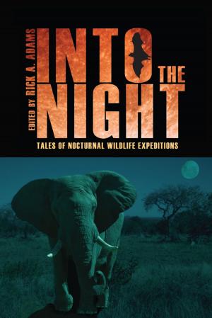 Cover of the book Into the Night by Tershia d'Elgin