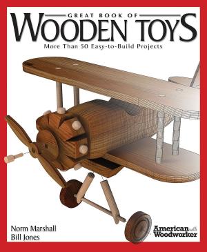 Cover of the book Great Book of Wooden Toys: More Than 50 Easy-to-Build Projects (American Woodworker) by Graham Blackburn