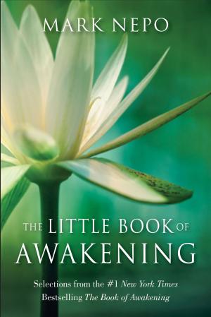 Cover of the book The Little Book of Awakening by Nic Olvani