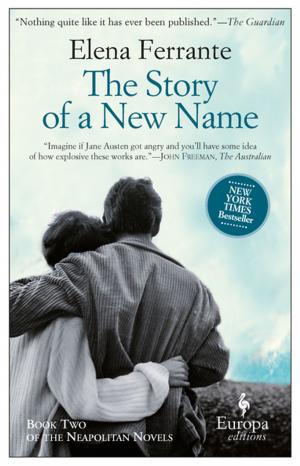 Cover of the book The Story of a New Name by Nothomb