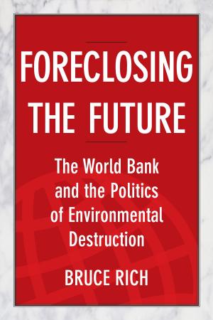 Book cover of Foreclosing the Future
