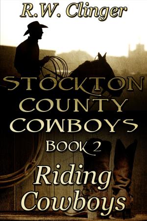 Cover of the book Stockton County Cowboys Book 2: Riding Cowboys by Sharon Maria Bidwell