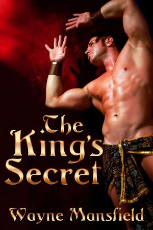 Cover of the book The King's Secret by Clare London