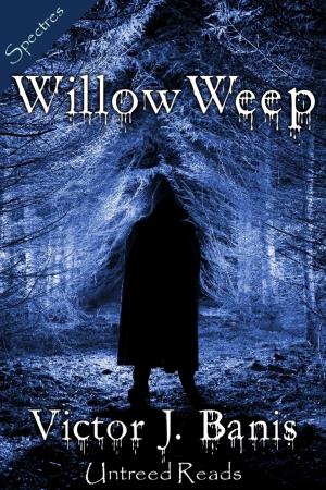Cover of the book Willow, Weep by Sarah Shankman