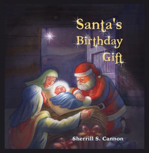 Cover of the book Santas Birthday Gift by DerekN. Burnell