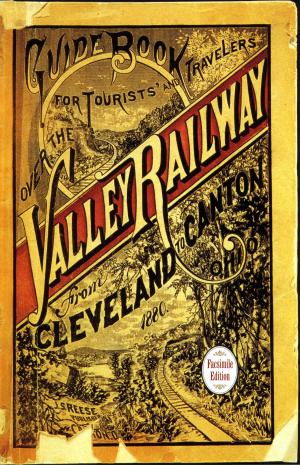Cover of the book Guide Book for the Tourist and Traveler over the Valley Railway by Lenette Taylor