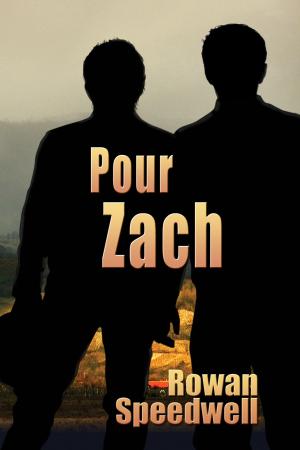 Book cover of Pour Zach