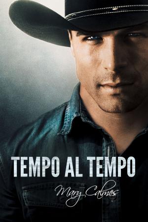 Book cover of Tempo al tempo