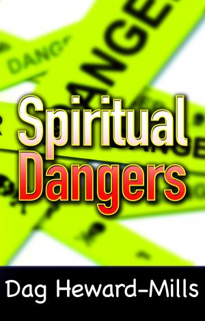 Cover of the book Spiritual Dangers by Priscilla R. Haley