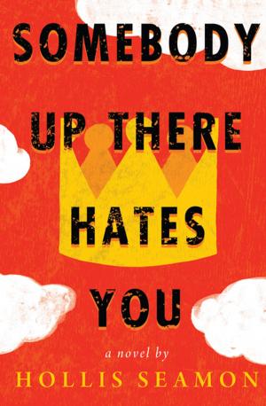 Cover of the book Somebody Up There Hates You by Algonquin Books of Chapel Hill