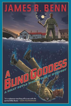 Cover of the book A Blind Goddess by Martin Limon