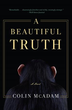 Cover of the book A Beautiful Truth by Martin Limon