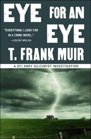 Cover of the book Eye for an Eye by Lisa Brackmann