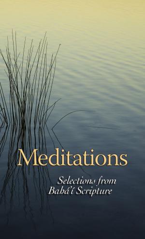 Cover of the book Meditations by Phyllis A Unterschuetz, Eugene F Unterschuetz