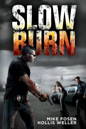 Cover of the book Slow Burn by Michelle Montebello