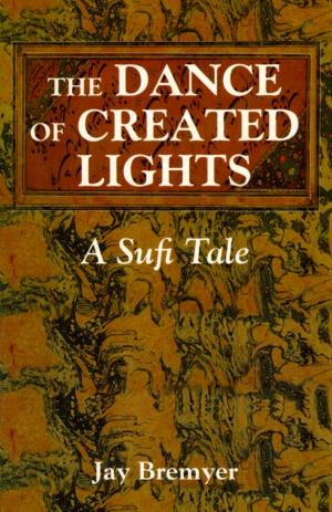 Cover of the book The Dance of Created Lights by Christopher S. Hyatt, Nicholas Tharcher