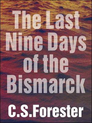 Book cover of The Last Nine Days of the Bismarck