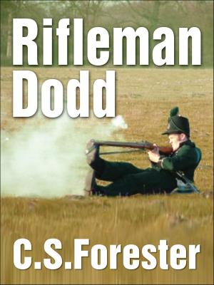 Cover of the book Rifleman Dodd by Niven Busch