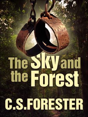 Cover of the book The Sky and the Forest by Niven Busch