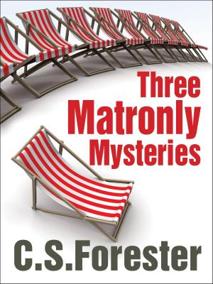 Cover of the book Three Matronly Mysteries by James H Street
