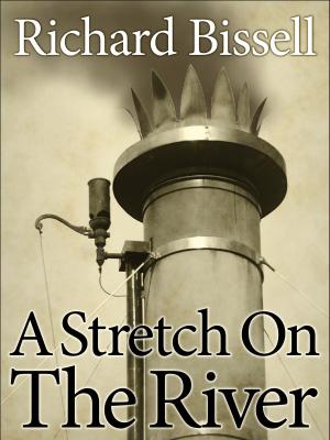 Cover of the book A Stretch on the River by Samuel Shellabarger