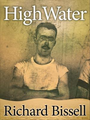Cover of the book High Water by Sue Cook