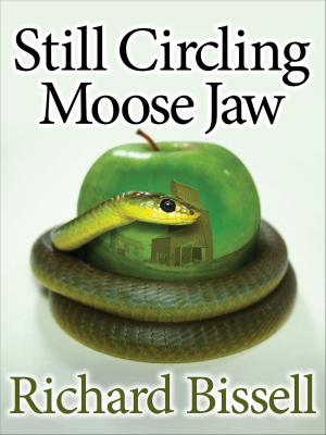 Cover of the book Still Circling Moose Jaw by Michelle Hughes