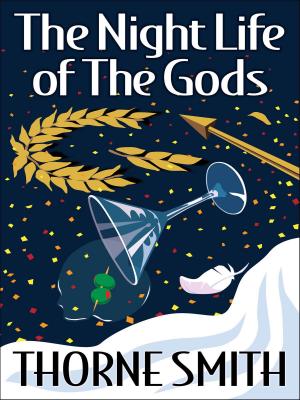 Cover of the book The Night Life of the Gods by Janet McMahon