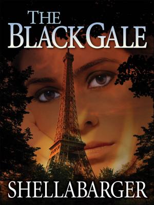 Cover of the book The Black Gale by V.K. Sykes