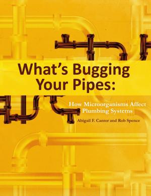 Cover of the book What's Bugging Your Pipes by David DiPillo